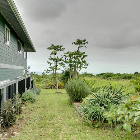 The Aloha Green House Retreat With Ocean Views! Naalehu Dış mekan fotoğraf