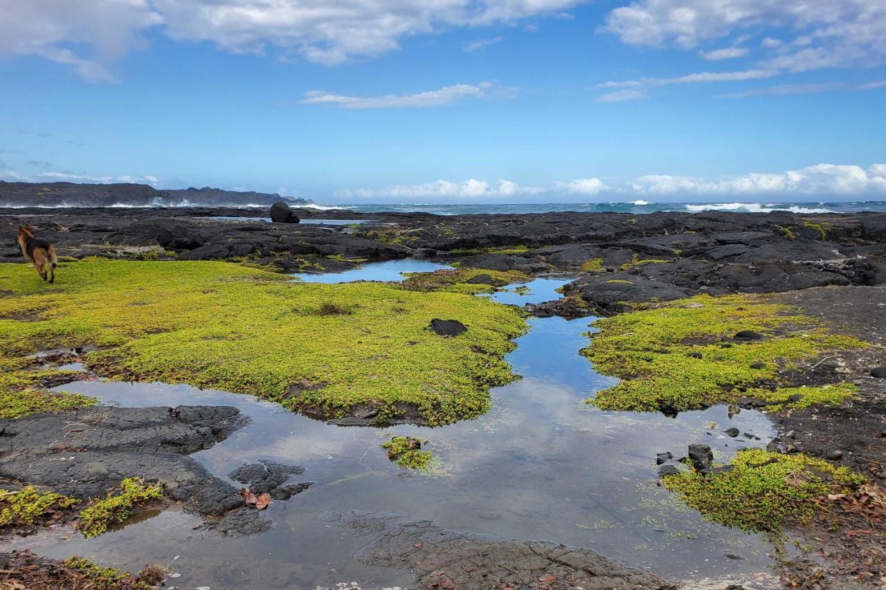 The Aloha Green House Retreat With Ocean Views! Naalehu Dış mekan fotoğraf