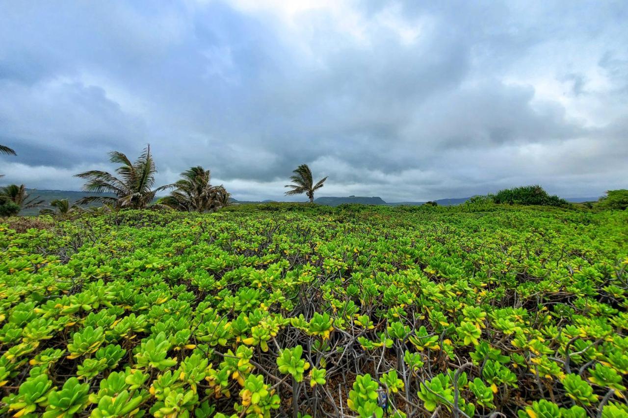 The Aloha Green House Retreat With Ocean Views! Naalehu Dış mekan fotoğraf