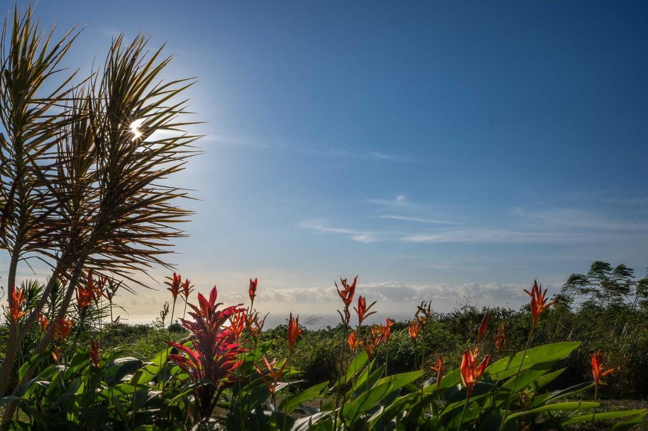 The Aloha Green House Retreat With Ocean Views! Naalehu Dış mekan fotoğraf